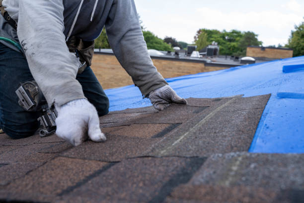 Best Roof Waterproofing Services  in Cedar Point, NC