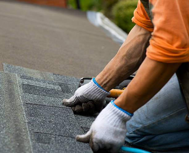 Best Storm Damage Roof Repair  in Cedar Point, NC