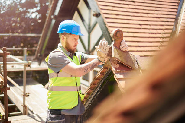 Best Gutter Installation and Roofing  in Cedar Point, NC