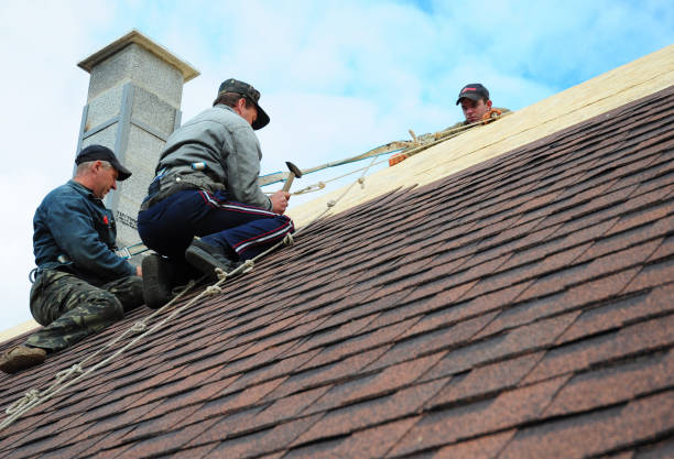 Best Roof Waterproofing Services  in Cedar Point, NC